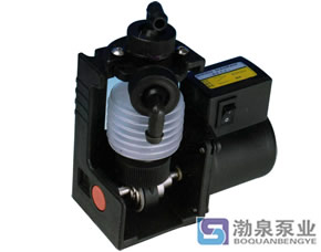 DZ、DS新型波紋管藥液計量加藥泵