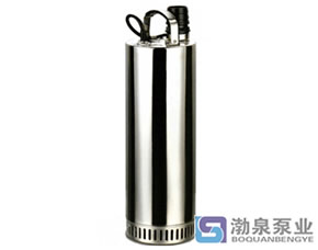 不銹鋼環(huán)保凈化泵、高揚(yáng)程潛水泵