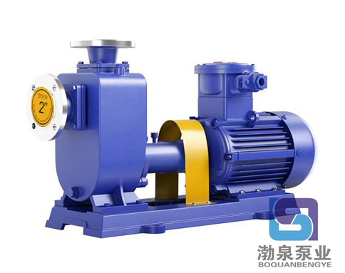 80CYZ-A-70_不銹鋼防爆自吸油泵