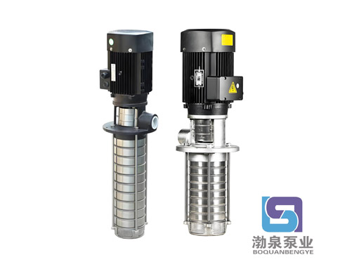 CDLKF1-210/21|浸入式多級(jí)離心泵