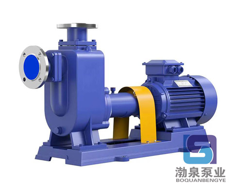 ZW125-120-20 自吸式無堵塞排污泵