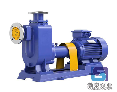 ZW200-300-25_大流量自吸式無堵塞排污泵