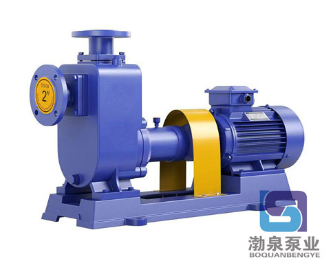 32ZX3.2-50_耐腐自吸泵